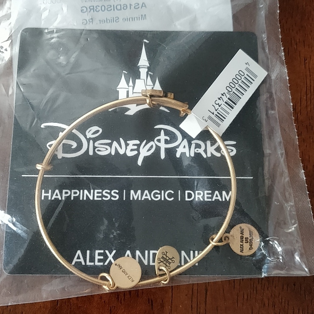 Alex and Ani Minnie Slider